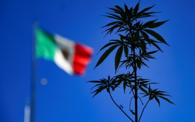 Encuesta Mundial sobre Drogas 2019: explorando cifras de usuarios drogas en México